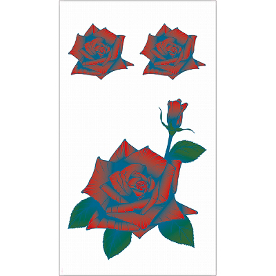 �^�g�D�[�V�[���@�K�N�i�^�g�D�[�E�h�V�[���j