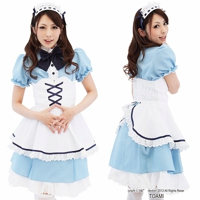 �y���V�����u���[���C�h�i�R�X�v���ߑ��j