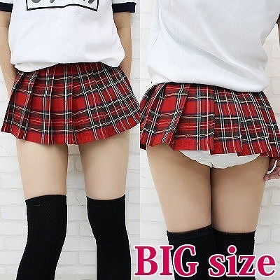 ���~�j�`�F�b�N�X�J�[�g�@�a�h�f�i�R�X�v���ߑ��j