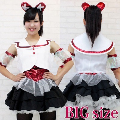 ��������A�C�h���@�����@�ߑ��@�a�h�f�i�R�X�v���ߑ��j