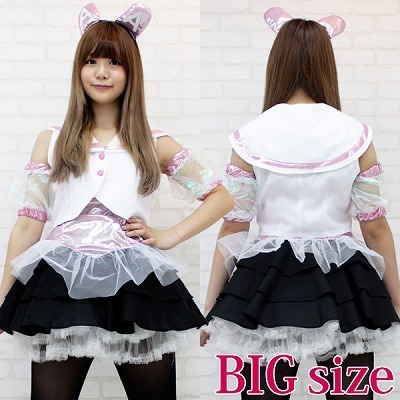 ��������A�C�h���@�����@�ߑ��@�a�h�f�i�R�X�v���ߑ��j