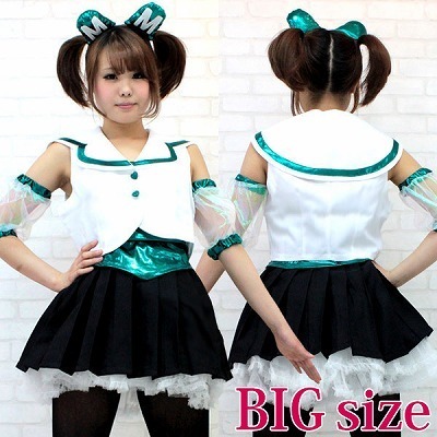 ��������A�C�h���@�����@�ߑ��@�a�h�f�i�R�X�v���ߑ��j