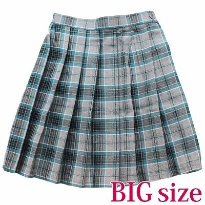 �`�F�b�N���v���[�c�X�J�[�g�@�a�h�f�i�R�X�v���ߑ��j