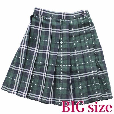 �X�e�b�`����`�F�b�N���v���[�c�X�J�[�g�@�a�h�f�i�R�X�v���ߑ��j