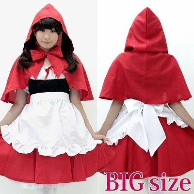 �Ԃ�����@�a�h�f�i�R�X�v���ߑ��j