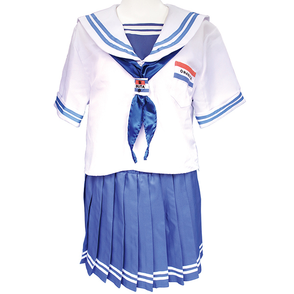 �����_�V���Z�[���[���@���Ƃ��̖��p