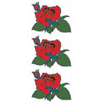 �^�g�D�[�V�[���@�o���Q(�^�g�D�[�E�h�V�[��)