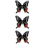 �^�g�D�[�V�[���@���Q(�^�g�D�[�E�h�V�[��)