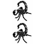 �^�g�D�[�V�[���@�T�\��(�^�g�D�[�E�h�V�[��)