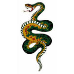 �^�g�D�[�V�[���@����(�^�g�D�[�E�h�V�[��)