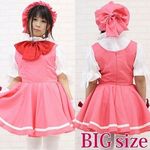 �`�F���[�K�[�������s�[�X�Z�b�g�@�a�h�f(�R�X�v���ߑ�)