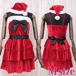 �O�i�t�����T���^�@�l(�R�X�v���ߑ�)